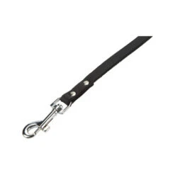 Beeztees Enjoy Hundeleine -Online Haustier Lieferungen beeztees geniet hondenriem 200033 0500 none