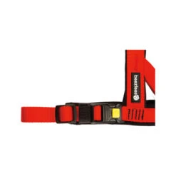 Beeztees Parinca Premium Comfort Hundegeschirr -Online Haustier Lieferungen beeztees parinca premium comfort hondentuig 198548 0500 none