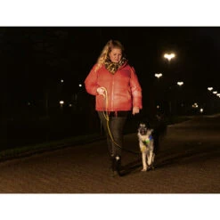 Beeztees Safety Gear Parinca Premium Halsband -Online Haustier Lieferungen beeztees safety gear parinca premium halsband 215009 0500 none