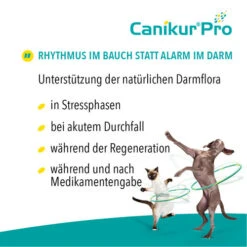 Canikur® Pro Diät-Ergänzungsfuttermittel Für Hunde -Online Haustier Lieferungen canikur pro 213692 0500 none