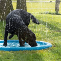 CoolPets Splash Pool Water Sprinkler -Online Haustier Lieferungen coolpets splash pool sproeier 174286 0500 none