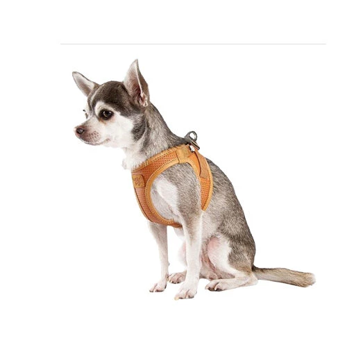 Curli Vegan Apple Leather Geschirr 2 Curli Vegan Apple Leather Geschirr – Bild 2