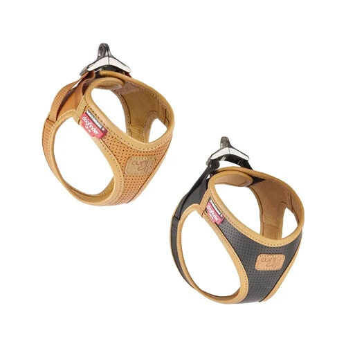 Curli Vegan Apple Leather Geschirr 1 Curli Vegan Apple Leather Geschirr