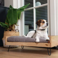 Designed By Lotte Hundebett Turana -Online Haustier Lieferungen designed by lotte ligmand turana 170032 0500 none