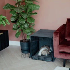 District 70 Sherpa Liegematte -Online Haustier Lieferungen district 70 sherpa bench mat 191723 0500 none