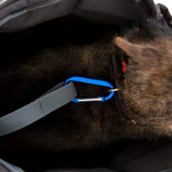 Doctor Bark Hundetragetasche -Online Haustier Lieferungen doctor bark honden draagtas 202157 0500 none