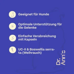Dr. Ann's Mobility Support Advanced -Online Haustier Lieferungen dr anns mobility support advanced 213137 0500 none