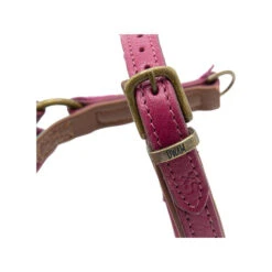 DWAM Hundegeschirr Lou Lou -Online Haustier Lieferungen dwam hondentuigje lou lou 182158 0500 none