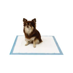 Easypets Trainingpads -Online Haustier Lieferungen easypets trainingspads 184186 0500 none