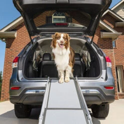 Happy Ride Telescoping Pet Ramp Deluxe -Online Haustier Lieferungen happy ride telescoping pet ramp deluxe 162499 0500 none