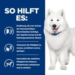 Hill's K/d + Mobility - Prescription Diet - Canine -Online Haustier Lieferungen hills kd mobility prescription diet canine 212189 0500 none