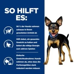 Hill's Metabolic Mini - Prescription Diet - Canine -Online Haustier Lieferungen hills metabolic mini prescription diet canine 218076 0500 none