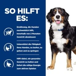 Hill's Metabolic + Mobility - Prescription Diet - Canine -Online Haustier Lieferungen hills metabolic mobility prescription diet canine 212783 0500 none
