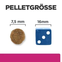 Hill's Prescription Diet Gastrointestinal Biome - Canine - Mini -Online Haustier Lieferungen hills prescription diet gastrointestinal biome canine mini 211880 0500 none