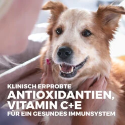 Hill's Science Plan - Small & Mini Adult Dog -Online Haustier Lieferungen hills science plan adult small miniature 218861 0500 none