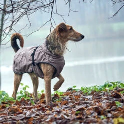 Hunter Hundemantel Uppsala -Online Haustier Lieferungen hunter hondemantel uppsala taupe 165682 0500 none