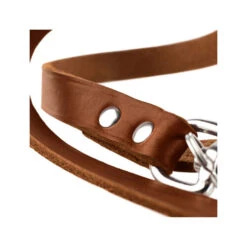 Hunter Trainingsleine - Braun -Online Haustier Lieferungen hunter trainingsriem bruin 175345 0500 none