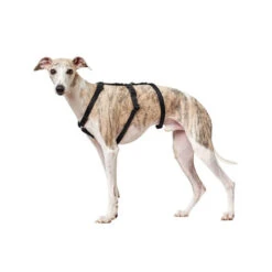 Hunter Vario Rapid Sicherheitsgeschirr - Schwarz -Online Haustier Lieferungen hunter vario rapid veiligheidsharnas zwart 169501 0500 none