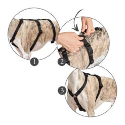 Hunter Vario Rapid Sicherheitsgeschirr - Schwarz -Online Haustier Lieferungen hunter vario rapid veiligheidsharnas zwart 169510 0500 none