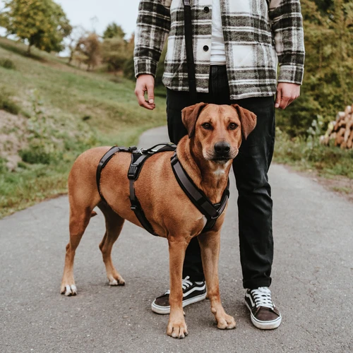 Hunter Sicherheitsgeschirr Maldon 15 Hunter Sicherheitsgeschirr Maldon – Bild 15