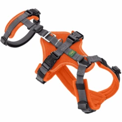 Hunter Sicherheitsgeschirr Maldon 28 Hunter Sicherheitsgeschirr Maldon -Online Haustier Lieferungen hunter veiligheidsharnas maldon 221556 0500 none