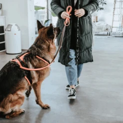 Hunter Sicherheitsgeschirr Maldon 20 Hunter Sicherheitsgeschirr Maldon -Online Haustier Lieferungen hunter veiligheidsharnas maldon 221557 0500 none