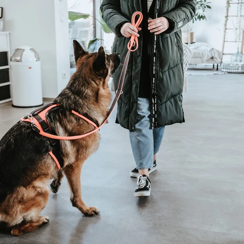 Hunter Sicherheitsgeschirr Maldon 6 Hunter Sicherheitsgeschirr Maldon – Bild 6