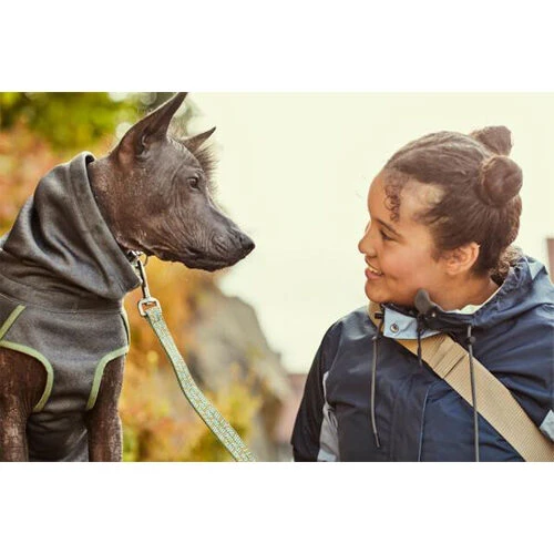 Hurtta Razzle-Dazzle Blackberry 2 Hurtta Razzle-Dazzle Blackberry – Bild 2