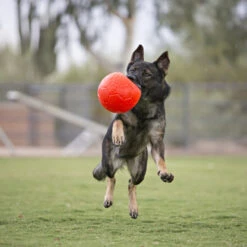 Jolly Soccer Ball -Online Haustier Lieferungen jolly soccer ball 162241 0500 none