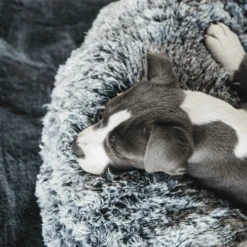 Kentucky Dogwear - Comfort Donut-Hundekorb -Online Haustier Lieferungen kentucky dogwear comfort donut hondenmand 219723 0500 none