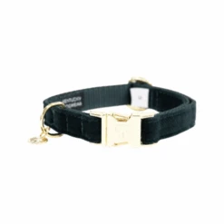 Kentucky Dogwear Corduroy Hundehalsband -Online Haustier Lieferungen kentucky dogwear corduroy hondenhalsband 219194 0500 none
