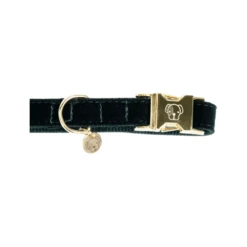 Kentucky Dogwear Corduroy Hundehalsband -Online Haustier Lieferungen kentucky dogwear corduroy hondenhalsband 219195 0500 none