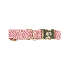 Kentucky Dogwear Hundehalsband Wool 28 Kentucky Dogwear Hundehalsband Wool -Online Haustier Lieferungen kentucky dogwear hondenhalsband wool 219709 0500 none