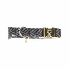Kentucky Dogwear Hundehalsband Wool 24 Kentucky Dogwear Hundehalsband Wool -Online Haustier Lieferungen kentucky dogwear hondenhalsband wool 219713 0500 none