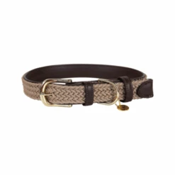 Kentucky Dogwear Nylon Hundehalsband 10 Kentucky Dogwear Nylon Hundehalsband -Online Haustier Lieferungen kentucky dogwear nylon hondenhalsband 219176 0500 none