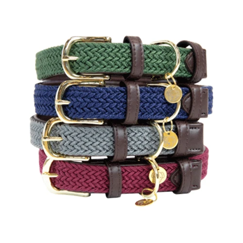 Kentucky Dogwear Nylon Hundehalsband 1 Kentucky Dogwear Nylon Hundehalsband