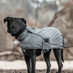 Kentucky Dogwear Soft Rubber Hundehalsband -Online Haustier Lieferungen kentucky dogwear soft rubber hondenhalsband 219265 0500 none