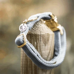 Kentucky Dogwear Velvet Hundehalsband -Online Haustier Lieferungen kentucky dogwear velvet hondenhalsband 219236 0500 none