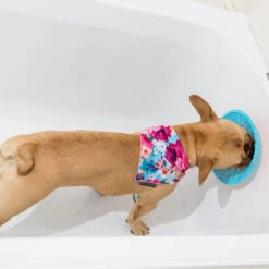 LickiMat Splash -Online Haustier Lieferungen lickimat splash 164212 0500 none