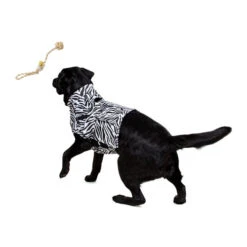 Medical Pet Top Shirt Zebra -Online Haustier Lieferungen medical pet top shirt zebraprint 150701 0500 none