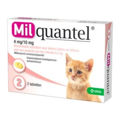 Milquantel Katze -Online Haustier Lieferungen milquantel kat 112616 0500 none