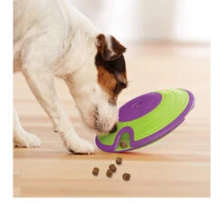 Nina Ottosson Dog Treat Maze -Online Haustier Lieferungen nina ottosson dog treat maze 96110 0500 none