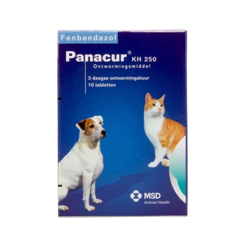 Panacur Hund Und Katze 3 Panacur Hund Und Katze – Bild 3