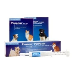 Ausgewählte Produkte 14 Panacur Hund Und Katze