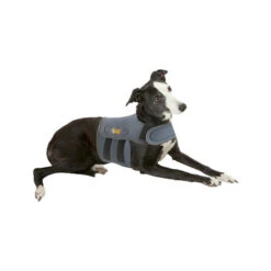 Petlife KarmaWrap Für Hunde -Online Haustier Lieferungen petlife karmawrap hond 154186 0500 none