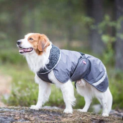 Pomppa Perus Hundejacke -Online Haustier Lieferungen pomppa perus hondenjas 215732 0500 none