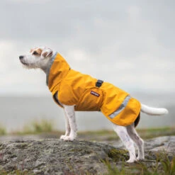 Pomppa Perus Hundejacke -Online Haustier Lieferungen pomppa perus hondenjas 215735 0500 none