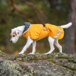 Pomppa Perus Hundejacke -Online Haustier Lieferungen pomppa perus hondenjas 215738 0500 none