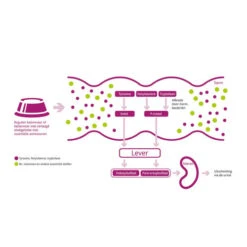 Porus One -Online Haustier Lieferungen porus one 134455 0500 none