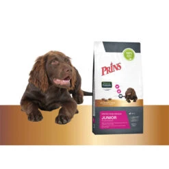 Prins Protection Croque Junior Performance -Online Haustier Lieferungen prins protection croque junior performance 172012 0500 none